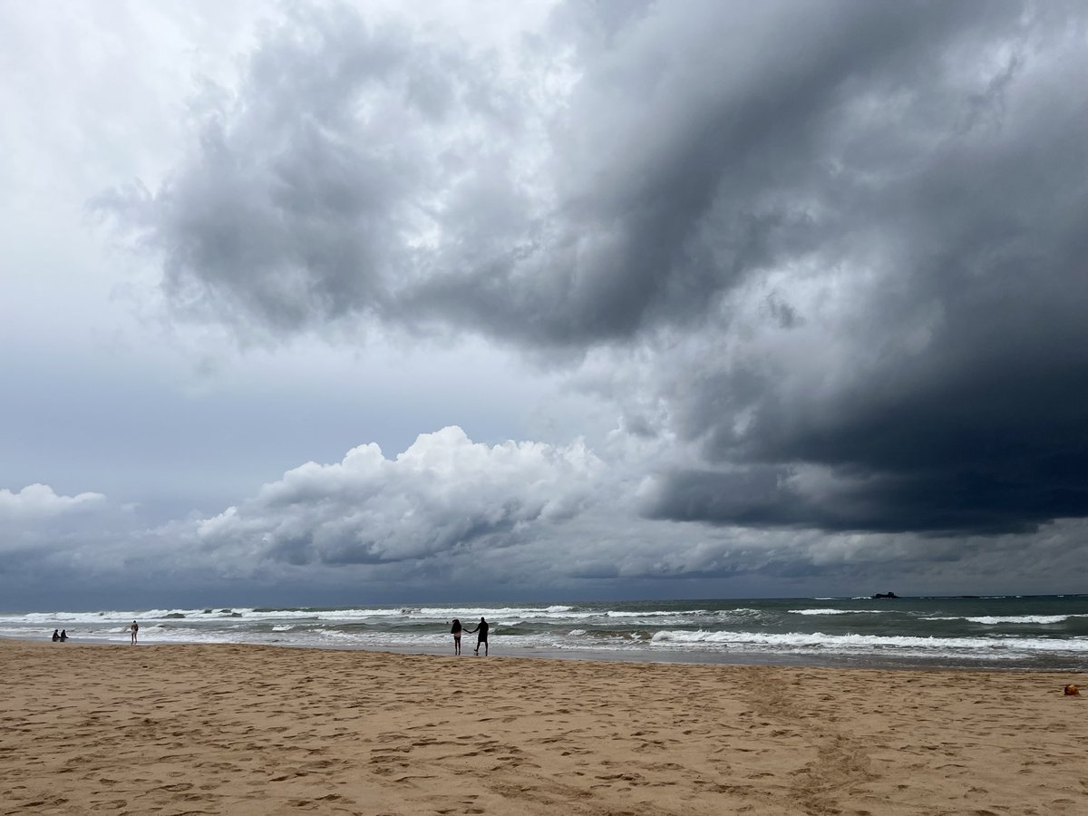 IolantaGoethe's tweet photo. I don't know my purpose, but I'm beginning to suspect it's testing beaches in different countries. https://t.co/cH2uiByXq2