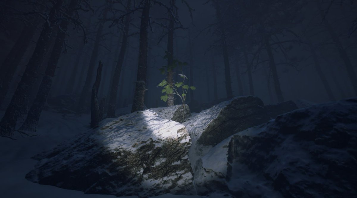 Higgs Studio - Canary Wishlist Now! tweet media