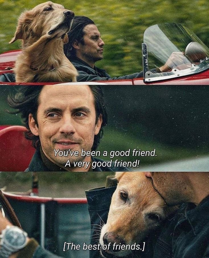 EN7ernally's tweet image. 💬 jay, are you watching &quot;the art of racing in the rain&quot;?  i cried all the tears while watching it❤️‍🩹🏎🦮
🐈‍⬛ great movie
🐈‍⬛ jake plays the main character lol
🐈‍⬛ 🐕

jay???? 😭😭😭