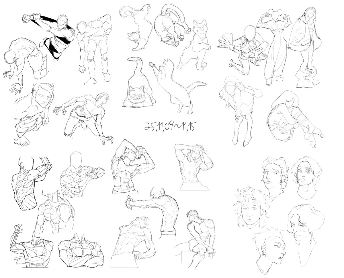 11월 2주차 🧑‍🚒