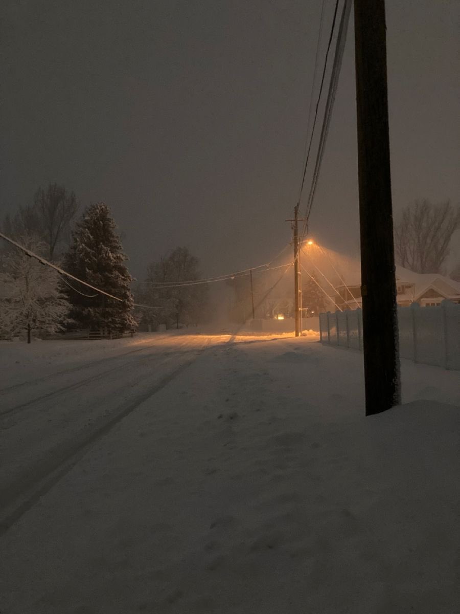 dreamland_usa's tweet image. 