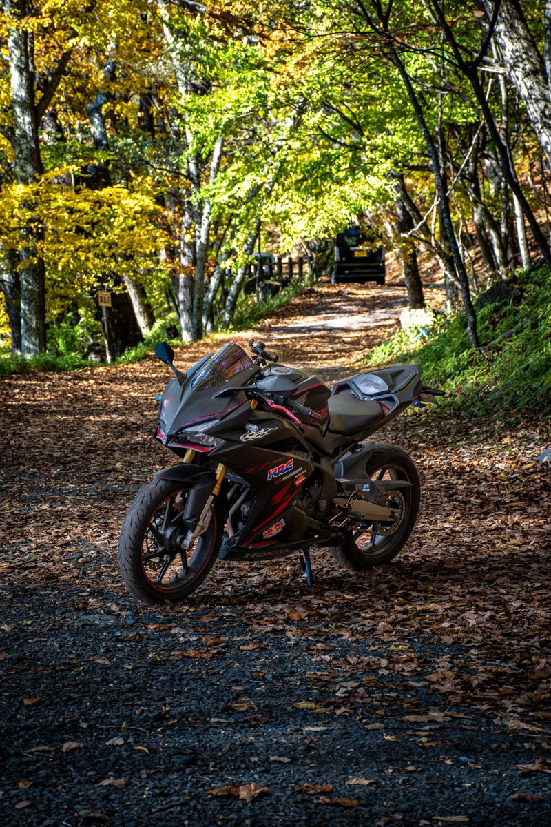 NC39_CB's tweet photo. 初いろは坂めっちゃよかったなぁ
バイク、車だけじゃなくポートレート撮らせてくれる方募集中です https://t.co/XcfX0z8XjQ