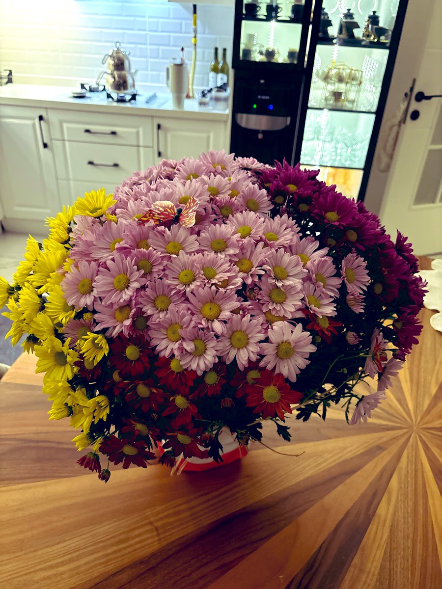 “Beni aylarca çiçeksiz bırakan kocamdan sonunda gelen çiçek kombosu 🌸✨”