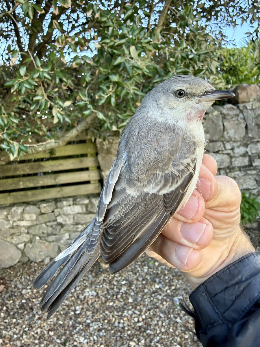 Richard Dann 🇺🇦 tweet media