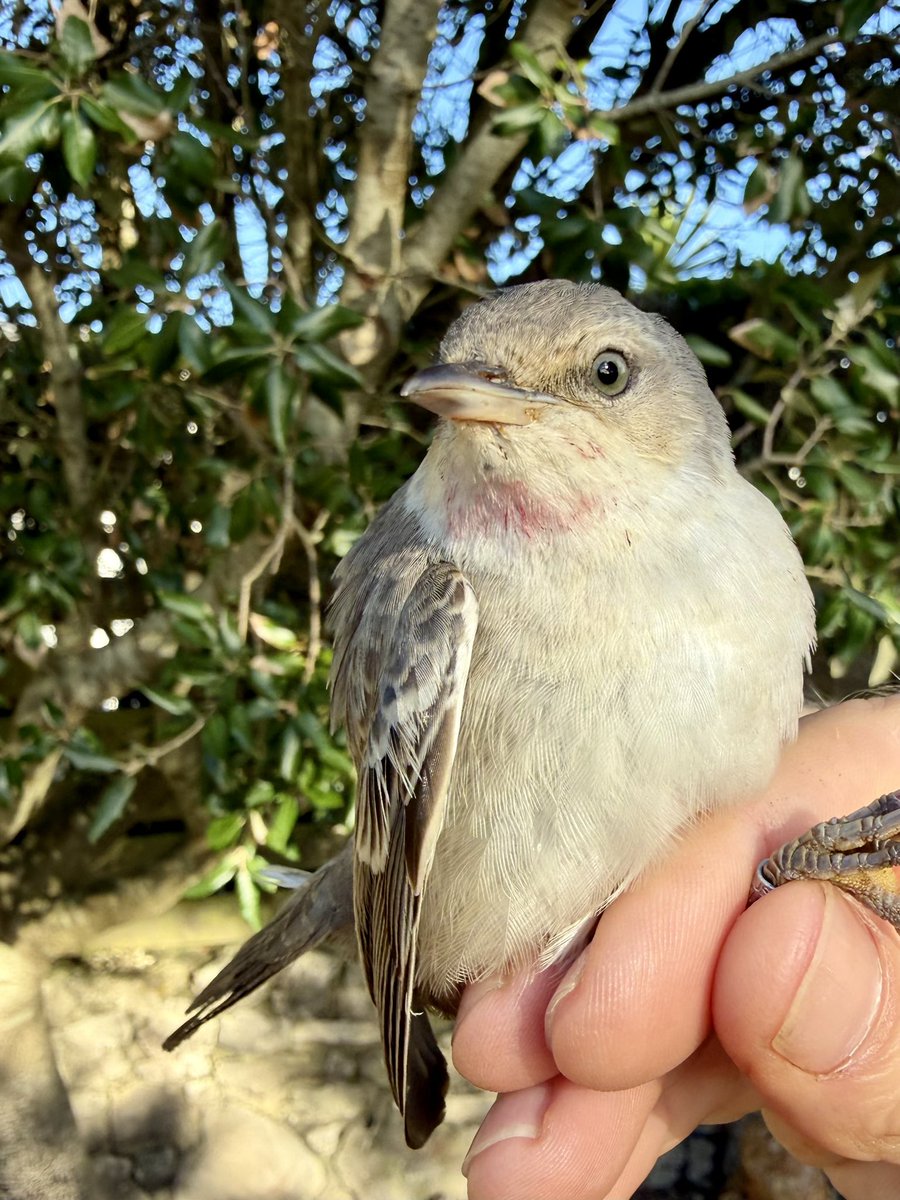 Richard Dann 🇺🇦 tweet media