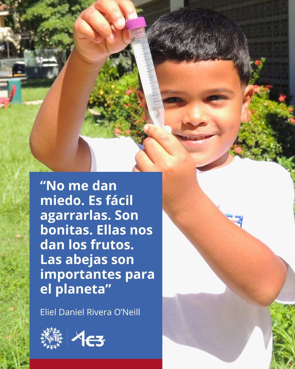 🐝🔍 Eliel Daniel Rivera O’Neill helps his family care for the “Las Tres Reinas” apiary in Vieques. 🍯 Arecibo C3 is building a census of wild bee colonies and conducting research to protect them as part of #BeeHunting. #AreciboC3