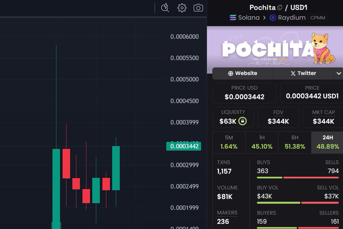 LeoFragrance69's tweet photo. Topblasted $pochita here.

Some peeps I trust are ultra bullish.
Its about to breakout to new highs. 

Momo did 45m. Pochita can do same. 
Also its USD1 and I think this pairs will continue to explode if market comes back now. Im watching this now since days and top holders arent jeets. I like it very much, held steady all support lines. Now im comfy to share it. 

Maybe wait for better entry but im not sure if there will be one, once the breakout is done. Thats why I topblasted instead of waiting. 

2hYVggDTPE8vuyXtrAp5ydwtLzKHJ77LgA54M3NNbonk