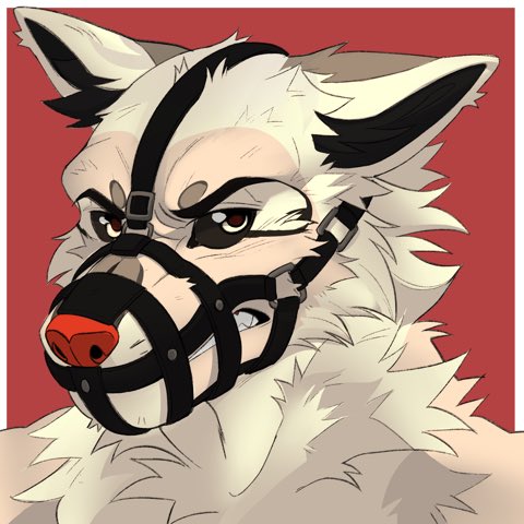 RODEOWOLVES's tweet image. …. Honestly my disappointment is immeasurable &amp;amp; It’s my fault for even comming this months ago.