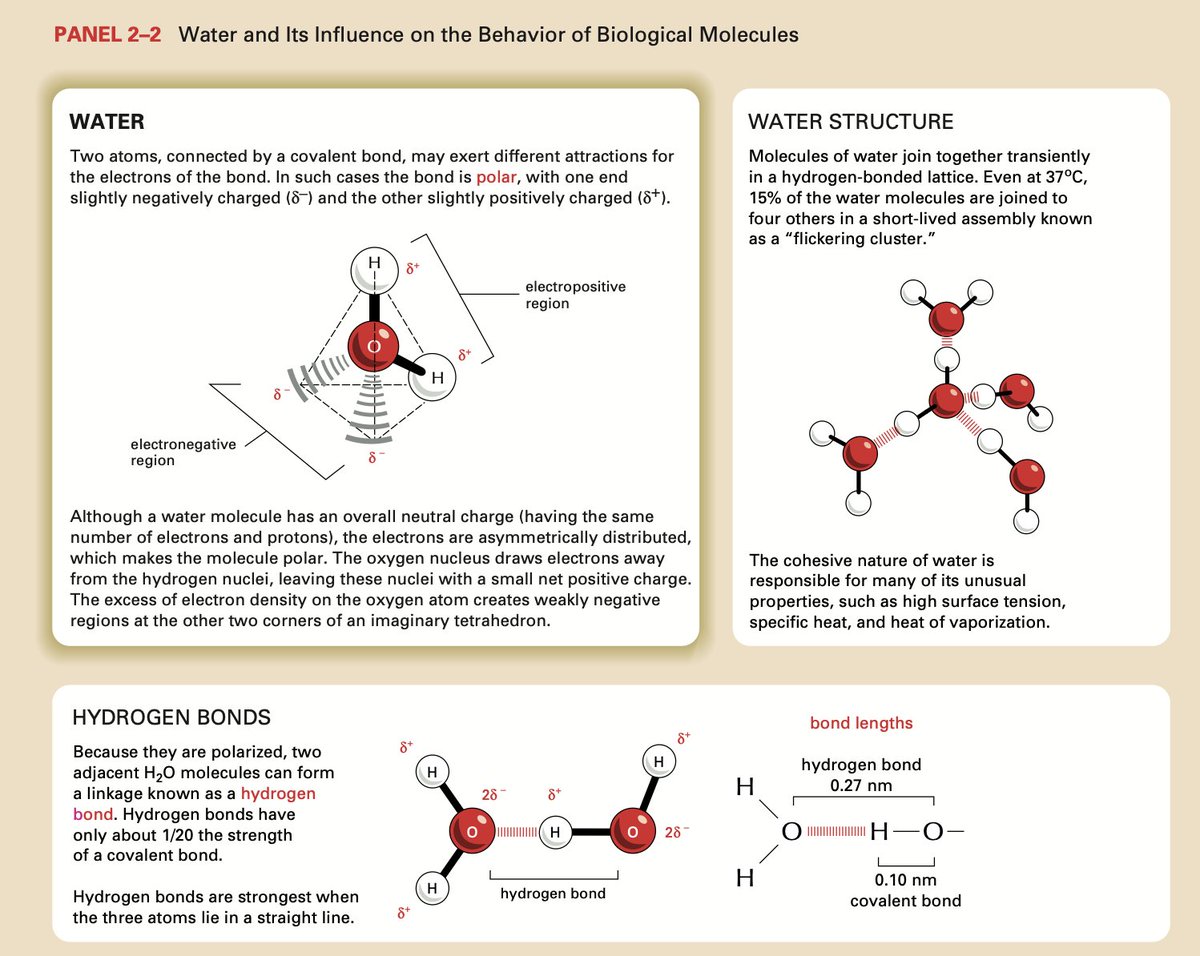 4. Light itself can be polarized, meaning its electric field oscillates in a specific orientation (linear, circular, etc.). Circularly polarized light has a specific "handedness" (left or right).

By using highly precise measurements of how a material interacts differently with
