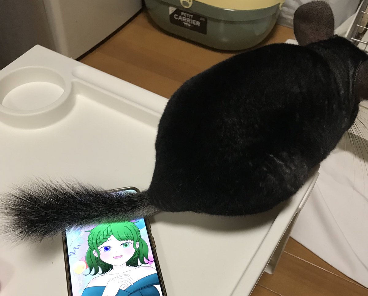 Post by ミドリ ヒトミ🍀🐏🍀 1月 大阪 展示会 on X: #ミドリへ