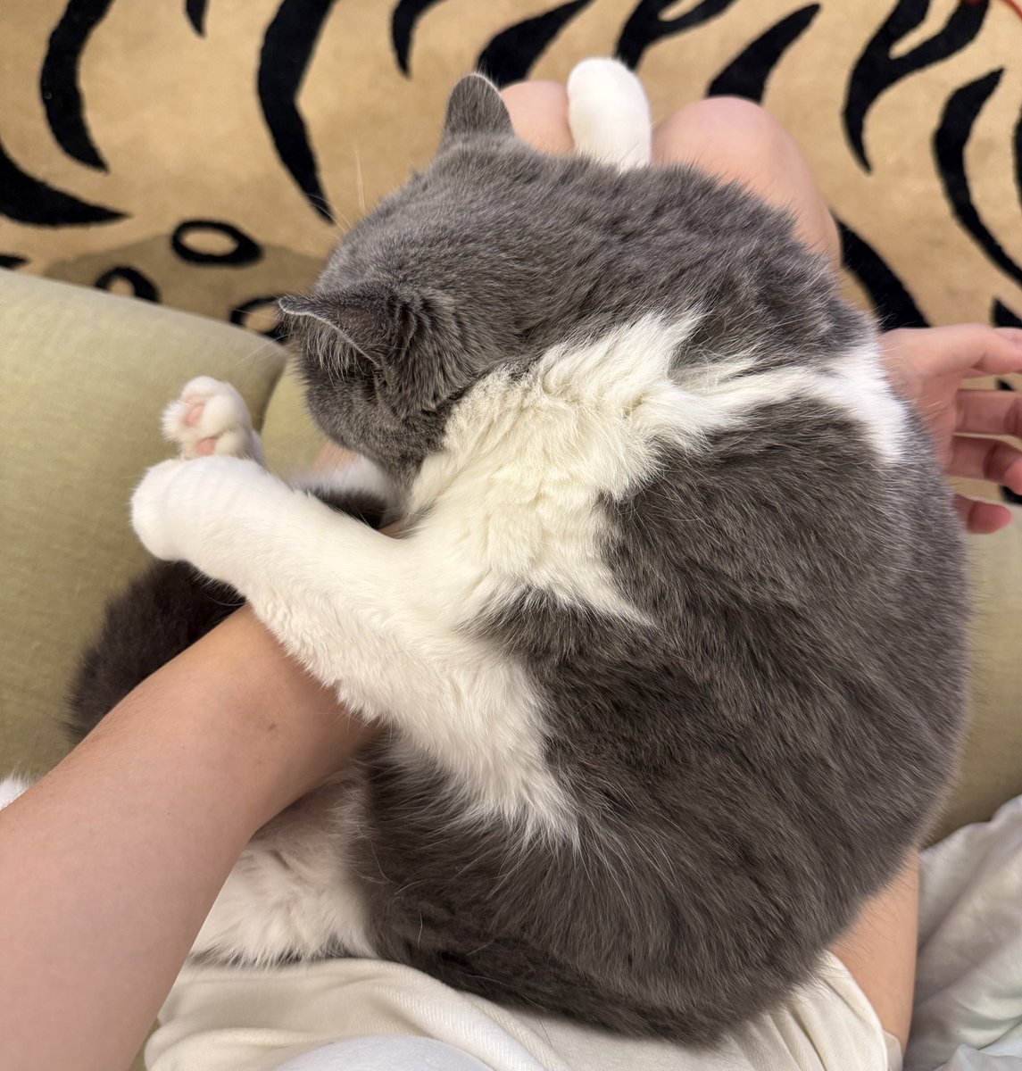 若非思念无声，否则震耳欲聋。