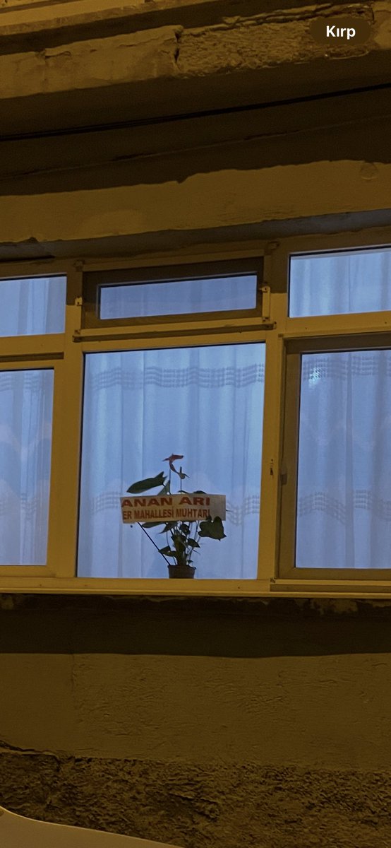 Ananın amı okudum ilk bakışta