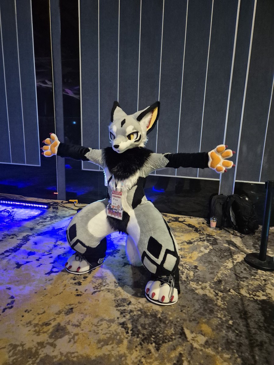 るん (Run)→FurstClass (@run_charizard) / Posts / X