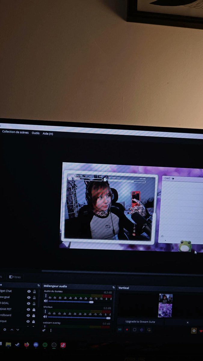 damenaooo's tweet image. Twitch.tv/damenaoo_

Venez !!