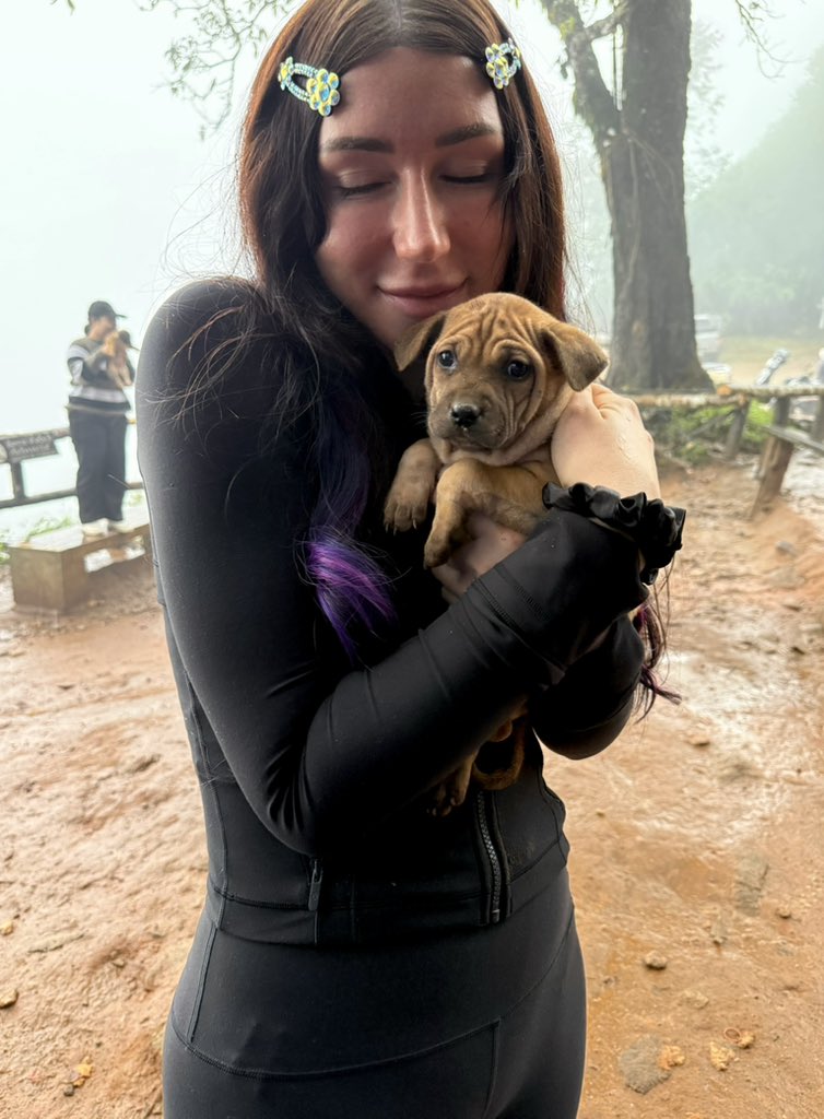 gm chat 🐶

confirmed that puppies make tough markets and being sick much better