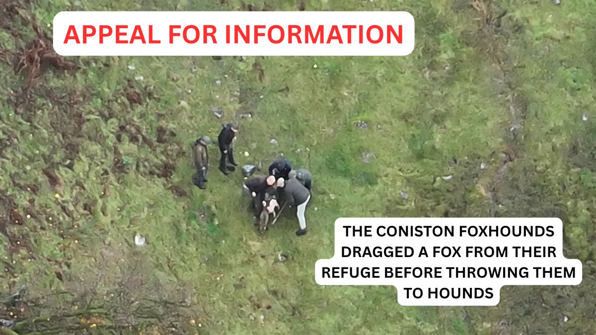 Hunt Saboteurs Association tweet media