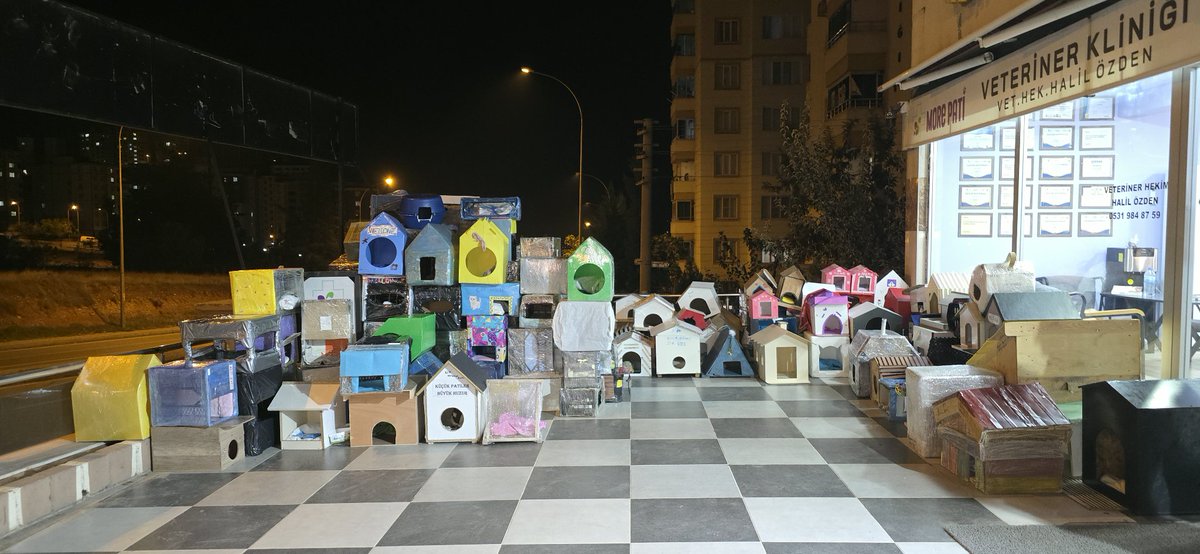 Her yıl devam eden ücretsiz kedi evi projemiz başladıı