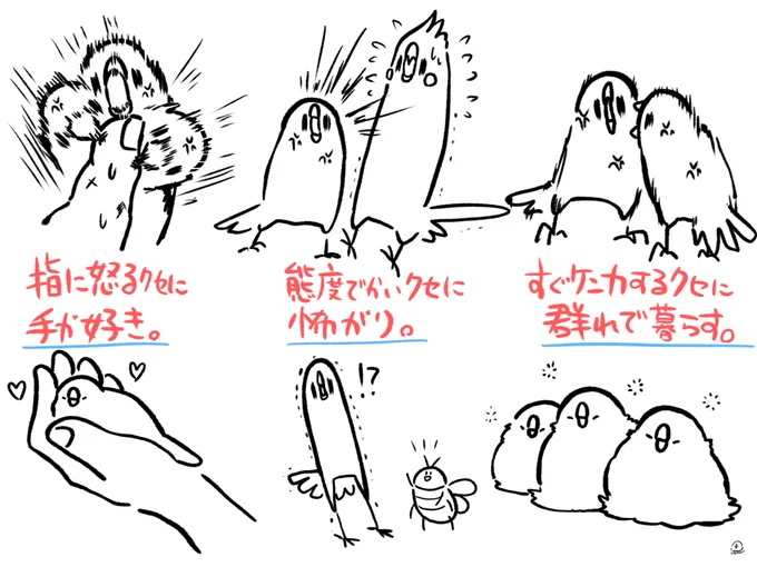 文鳥は矛盾を抱えた生き物です 