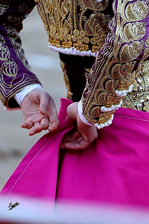 Deyalles taurinos <a href="/BorjaJimenez92/">Borja Jiménez</a>