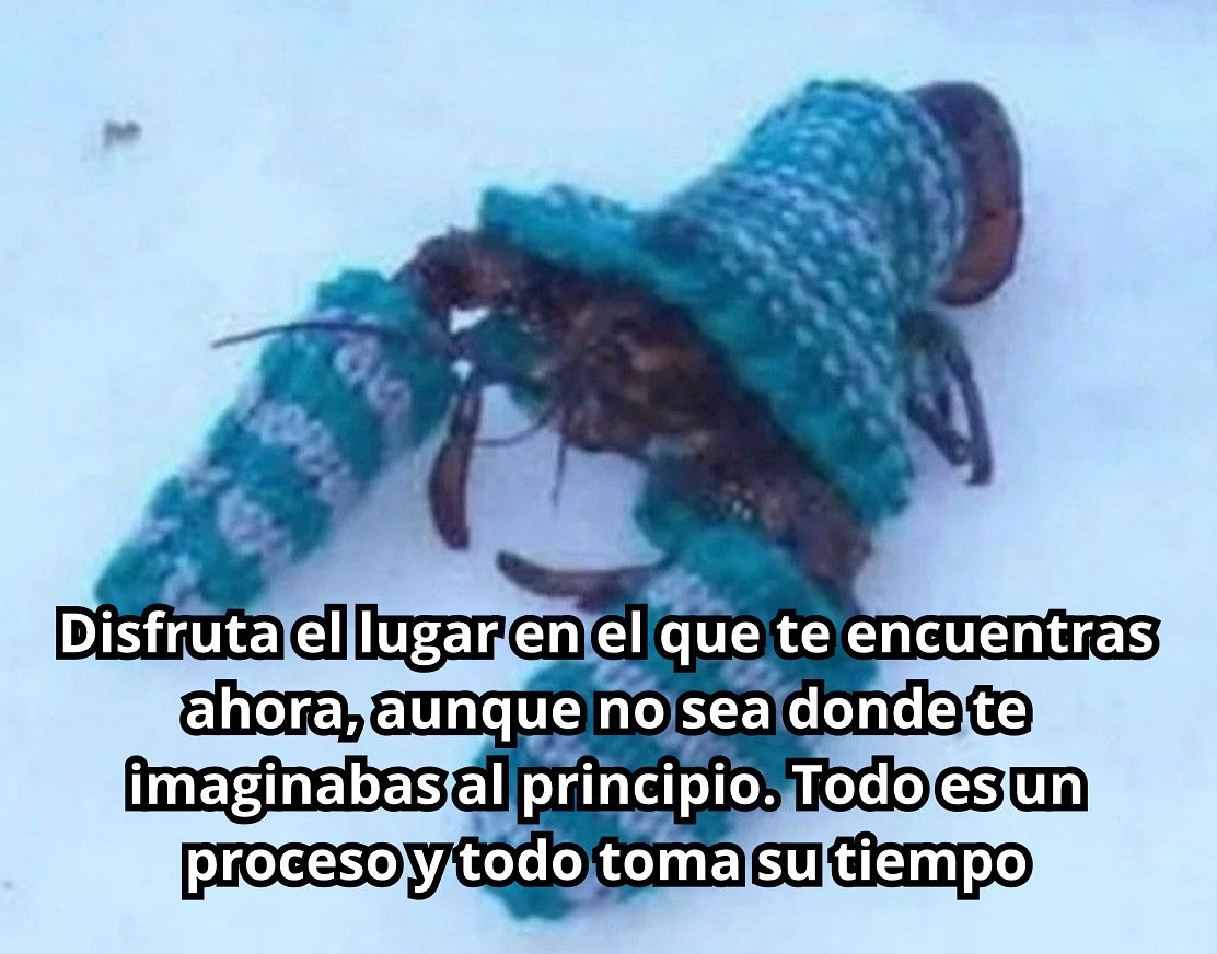 conoloracigarro's tweet photo. https://t.co/t6liokhHFf