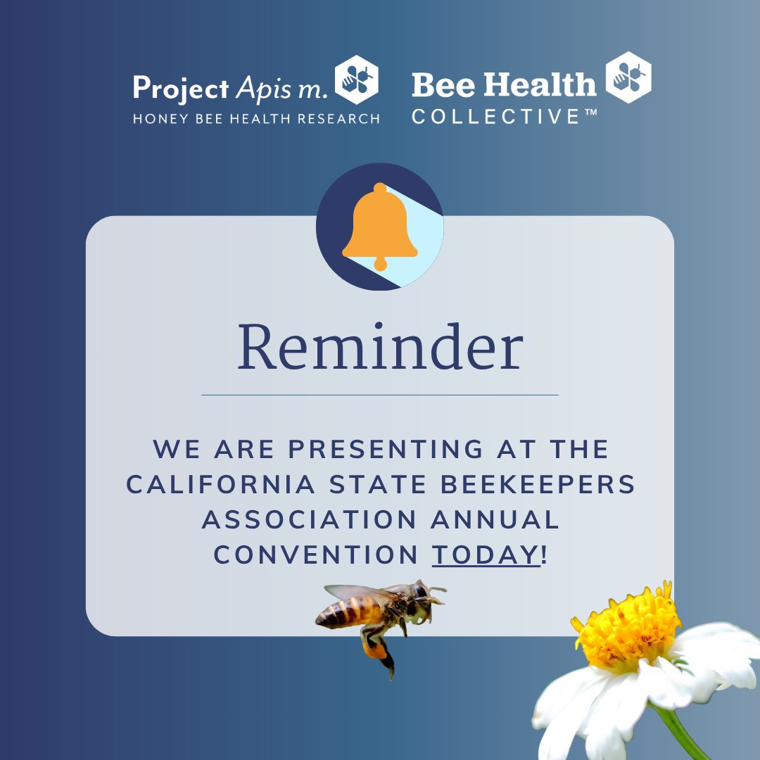 ProjectApism's tweet image. 🐝 We’re in California! Join PAm Executive Director Danielle Downey at the CA State Beekeepers Convention in Temecula. Learn how PAm advances honey bee health.

🔗 californiastatebeekeepers.com/schedule/

#HoneyBeeHealth #Beekeepers #CSBA2025