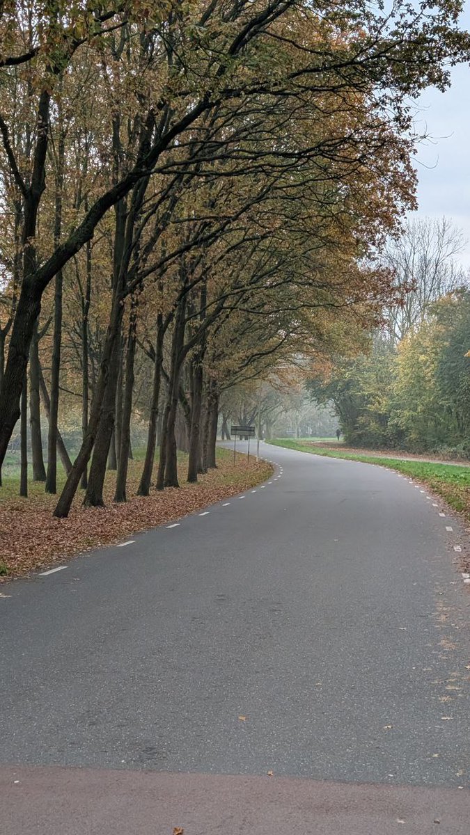 First Revelcy Team Day: ✅Done!

Many amazing things are coming!

Huge thanks to <a href="/ShipyardNL/">Go to @SuperteamNLD</a> and <a href="/hyperstrike/">Hyperstrike⚡️</a> for the warm welcome in Amsterdam 🙌