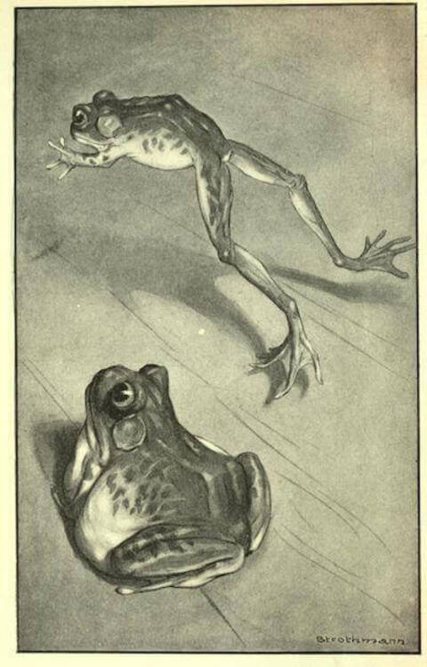 amlitreader's tweet image. Mark Twain&apos;s &quot;The Celebrated Jumping Frog of Calaveras County&quot; was first published today in 1865. americanliterature.com/author/mark-tw… #shortstory #marktwain #shortstoryoftheday