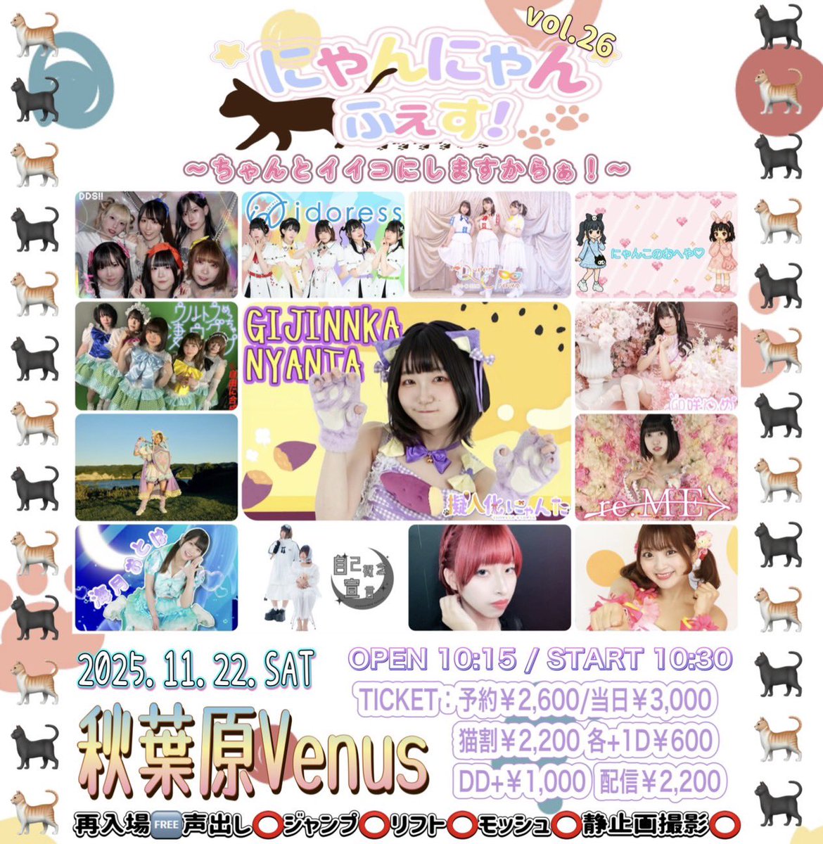 今月の #にゃんにゃんふぇす は⁉️／ 年に一度の #いいにゃんにゃんの