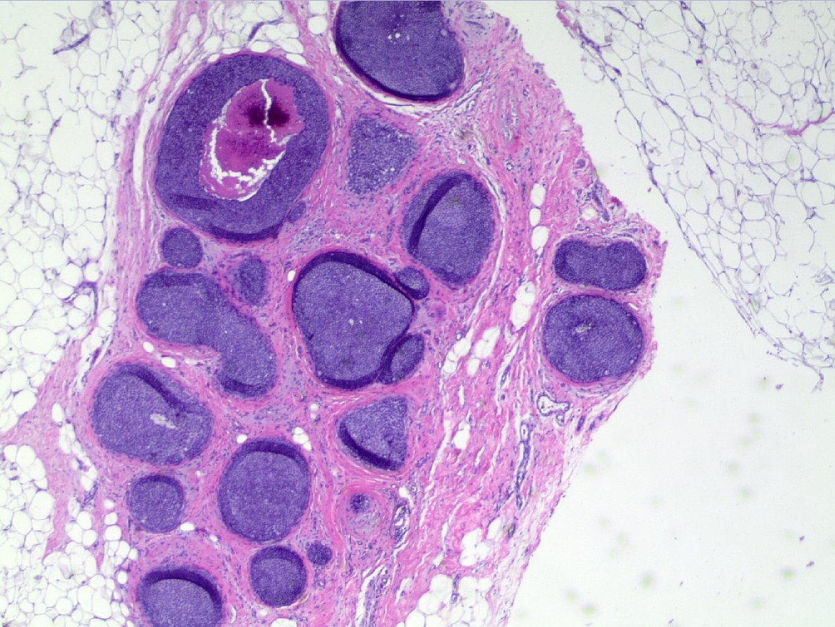 Masood Hassan tweet media