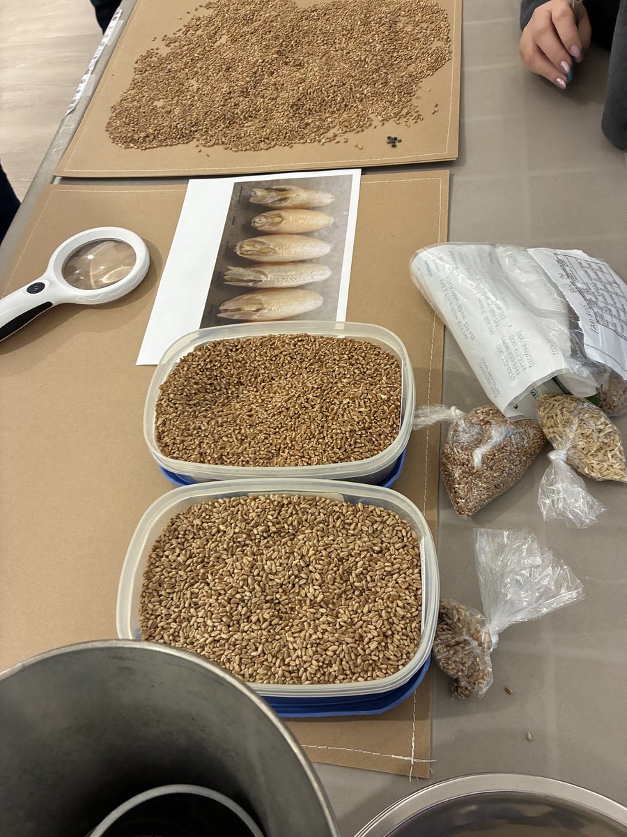 Grainwatchdog's tweet photo. What a great day at grade school @SaskWheat https://t.co/jlQshKdClk