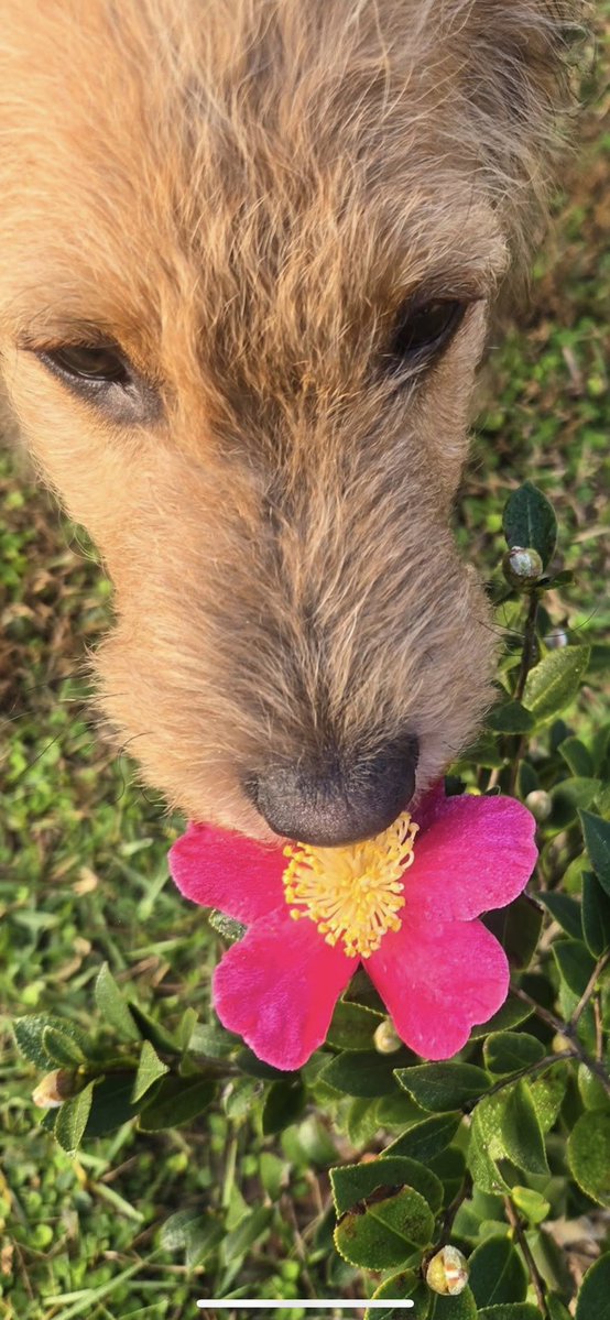 gm - is eating them, the same as buying them? $Bloom 🌺