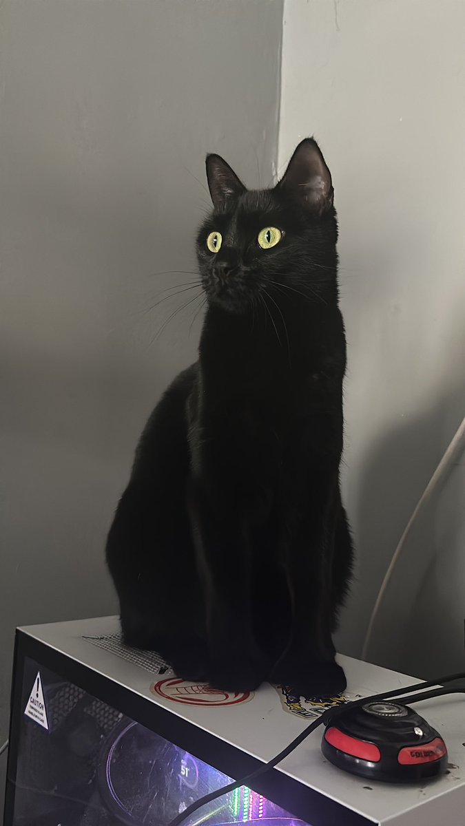 claasic_CS2's tweet image. prettiest girl in the world