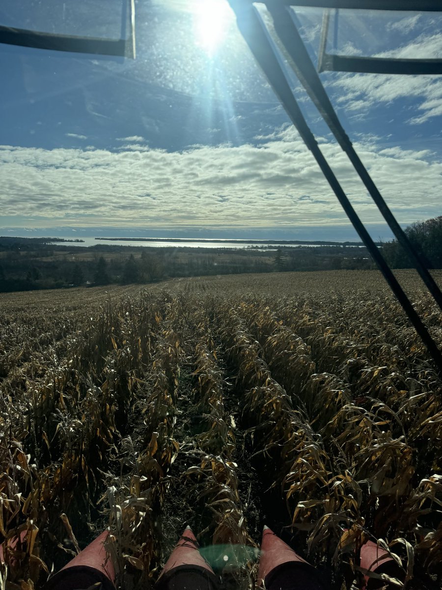 kelly sharpe tweet media