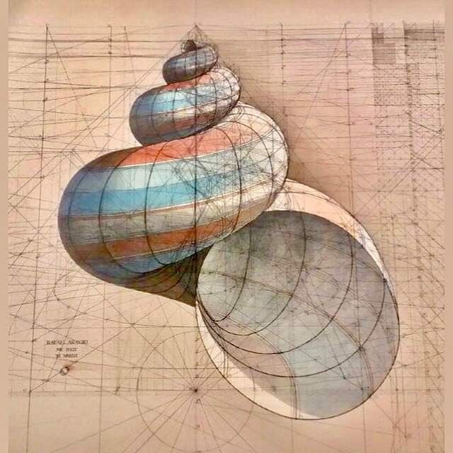 basedethos's tweet image. These patterns are considered &quot;sacred&quot; because they emerge naturally from pure mathematics yet appear everywhere in nature...

From the structure of seashells, to the petals of a lotus, to the feathers of a peacock: