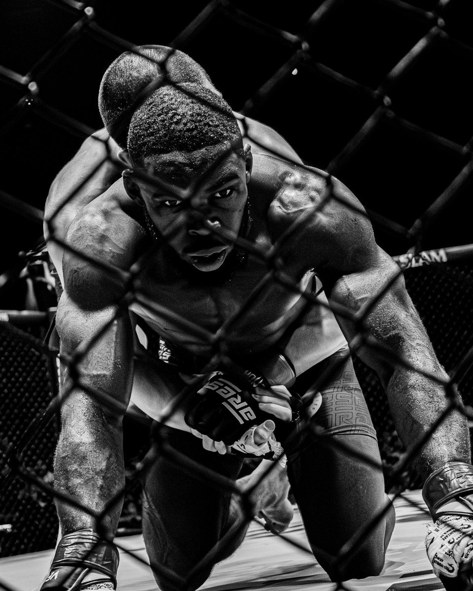 khiochi's tweet image. Tout a commencé ici, l'éveil du DZ (Dark Zebo)