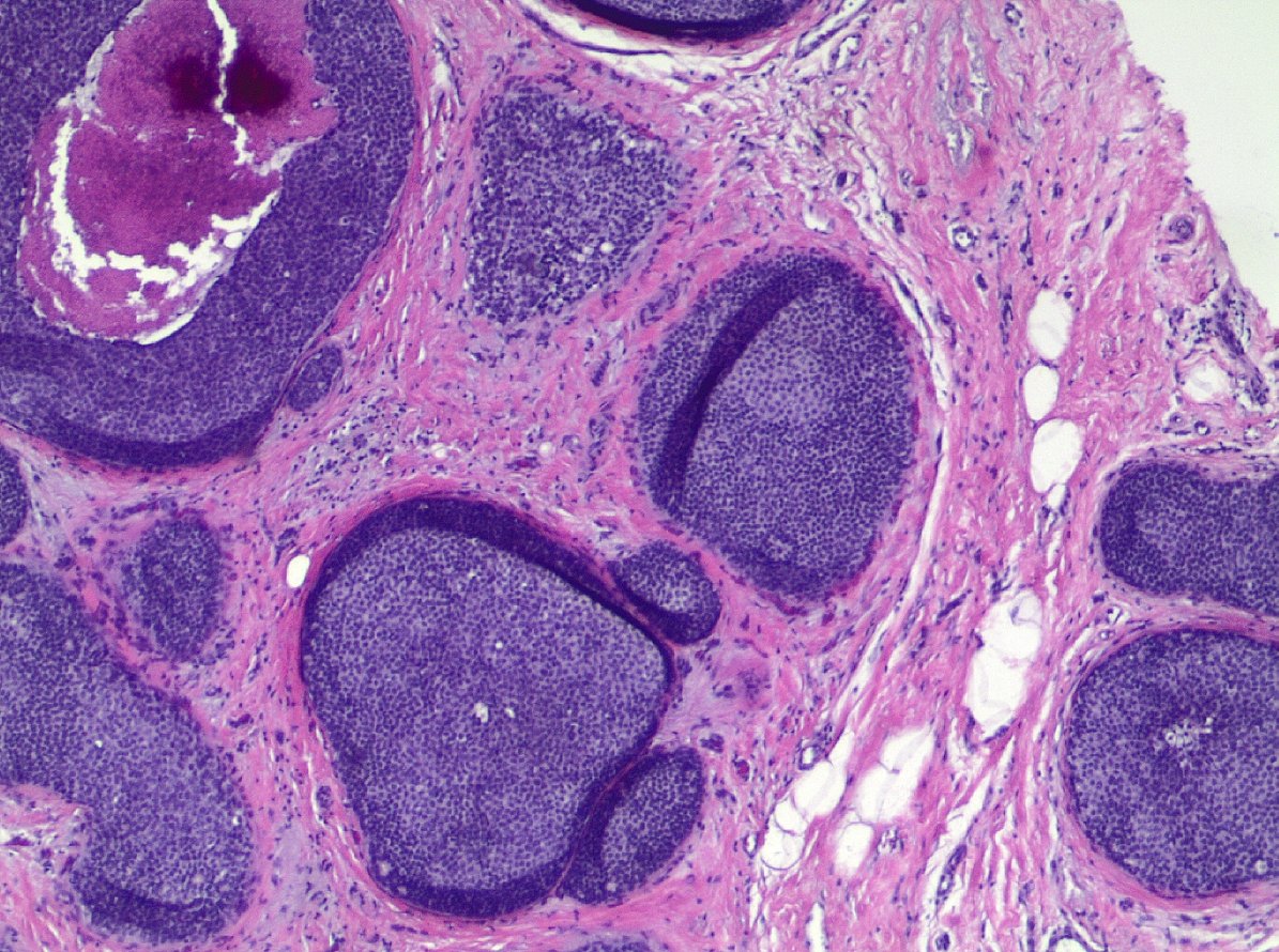 Masood Hassan tweet media