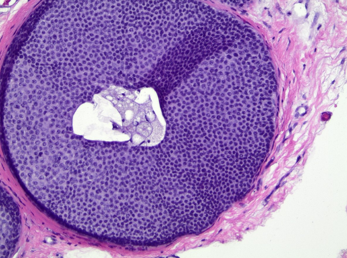 Masood Hassan tweet media