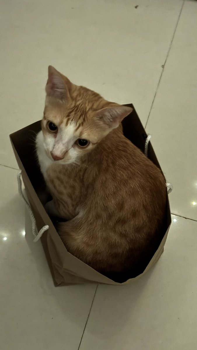 Got a free side, with the cake