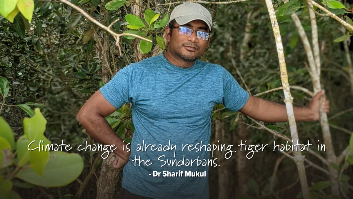 WildCats Conservation Alliance tweet media