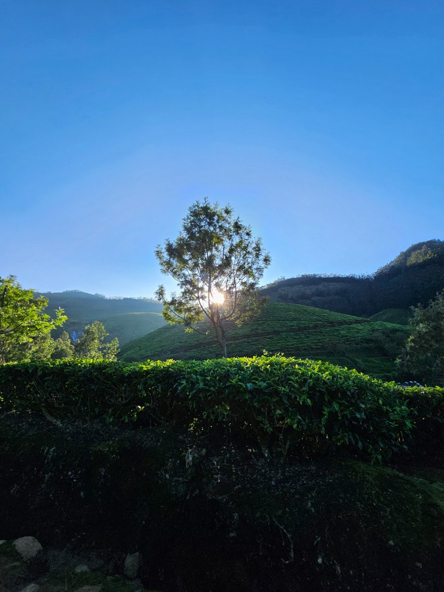 sauravbv's tweet image. Samsung camera without filter ✨