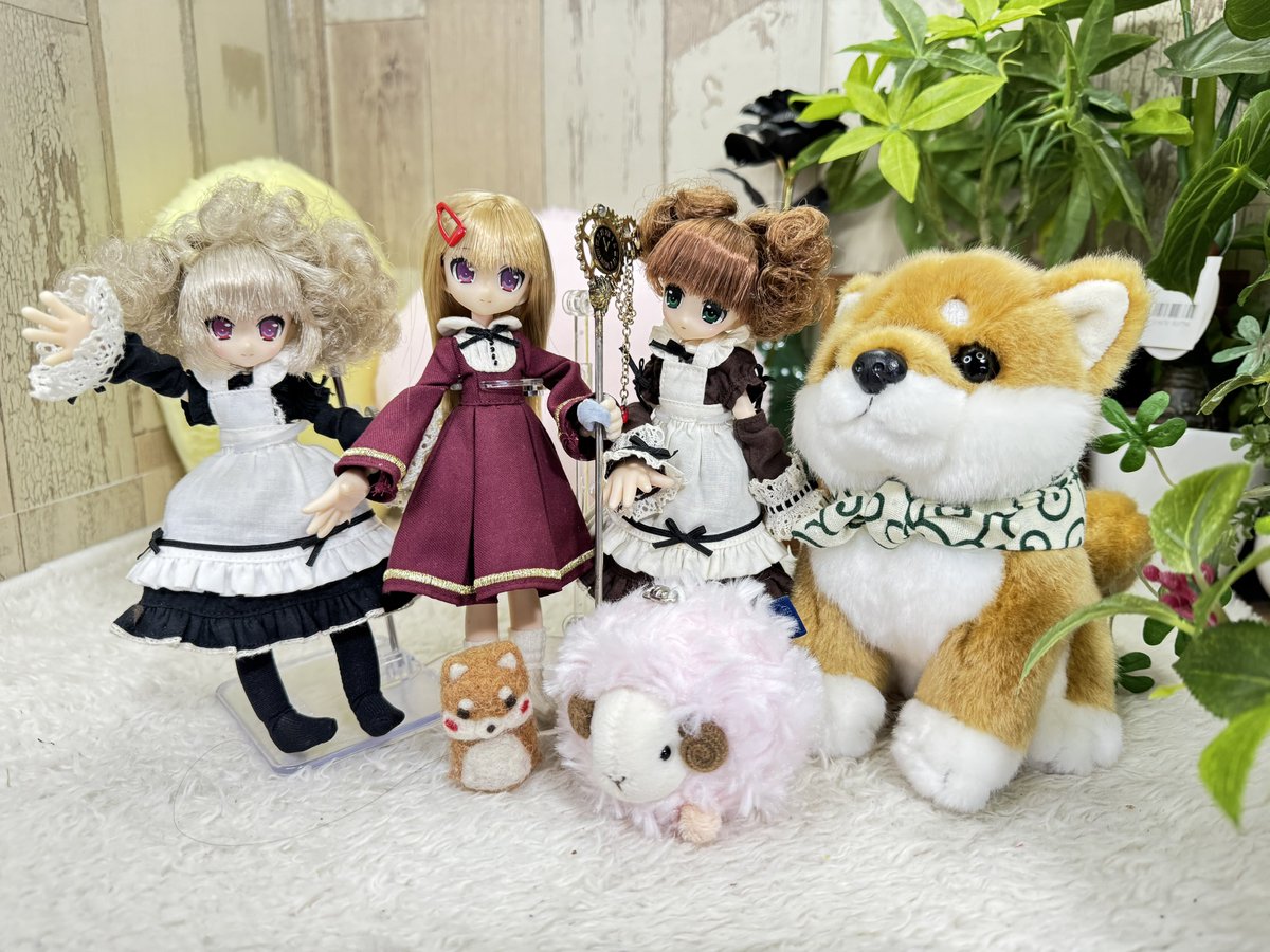 antique bear ୨୧ * 小さくて可愛い テリアさん antique bear ୨୧