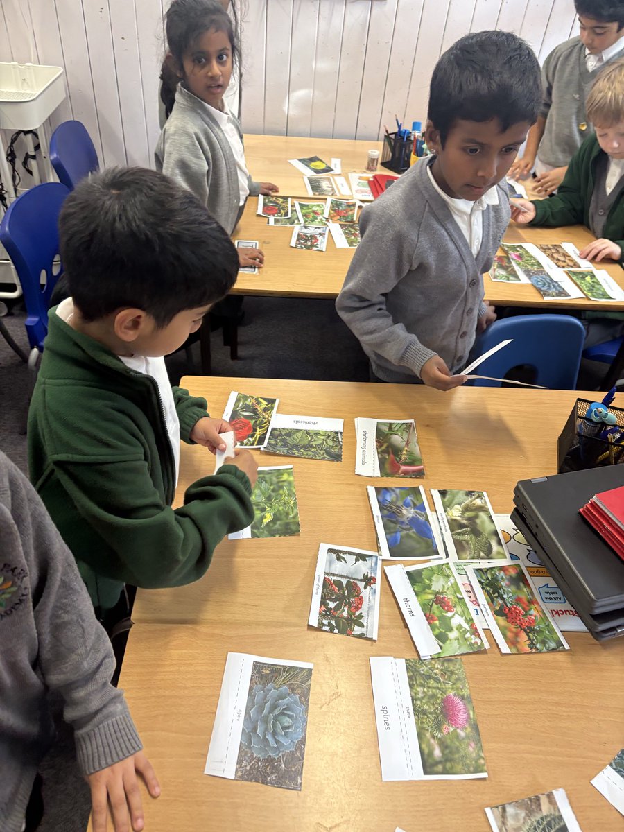 ManorParkSchSM1's tweet image. Year 2 were super scientists today, learning about how living things survive! 💡 We investigated plant adaptations, classifying different protection methods like thorns and stings. We also got hands-on with animal camouflage by hiding paper moths outdoors. #mppascience