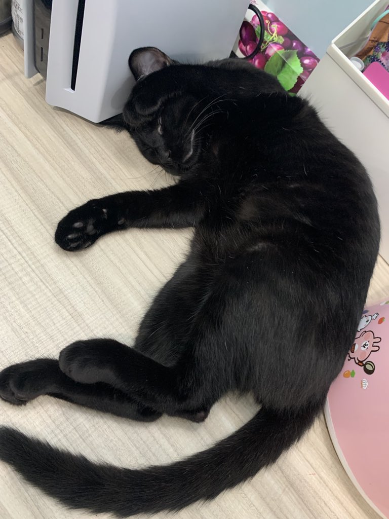 又到了上升一歲的日子
該成長了
但我會乳控的慾望還是不變 
🥵 能求個樓嗎