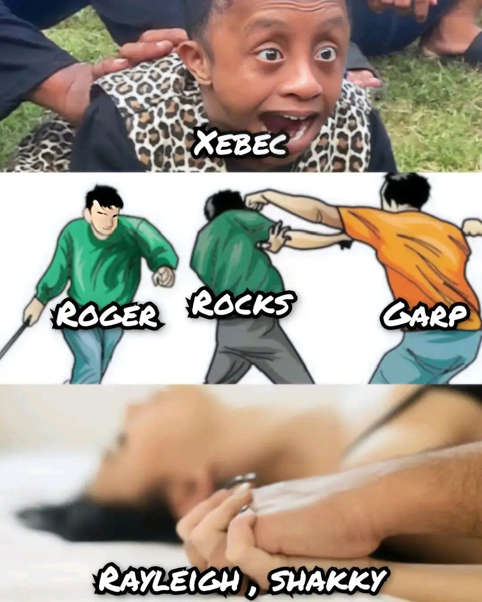 DailyOPMemes's tweet image. One Piece Anime