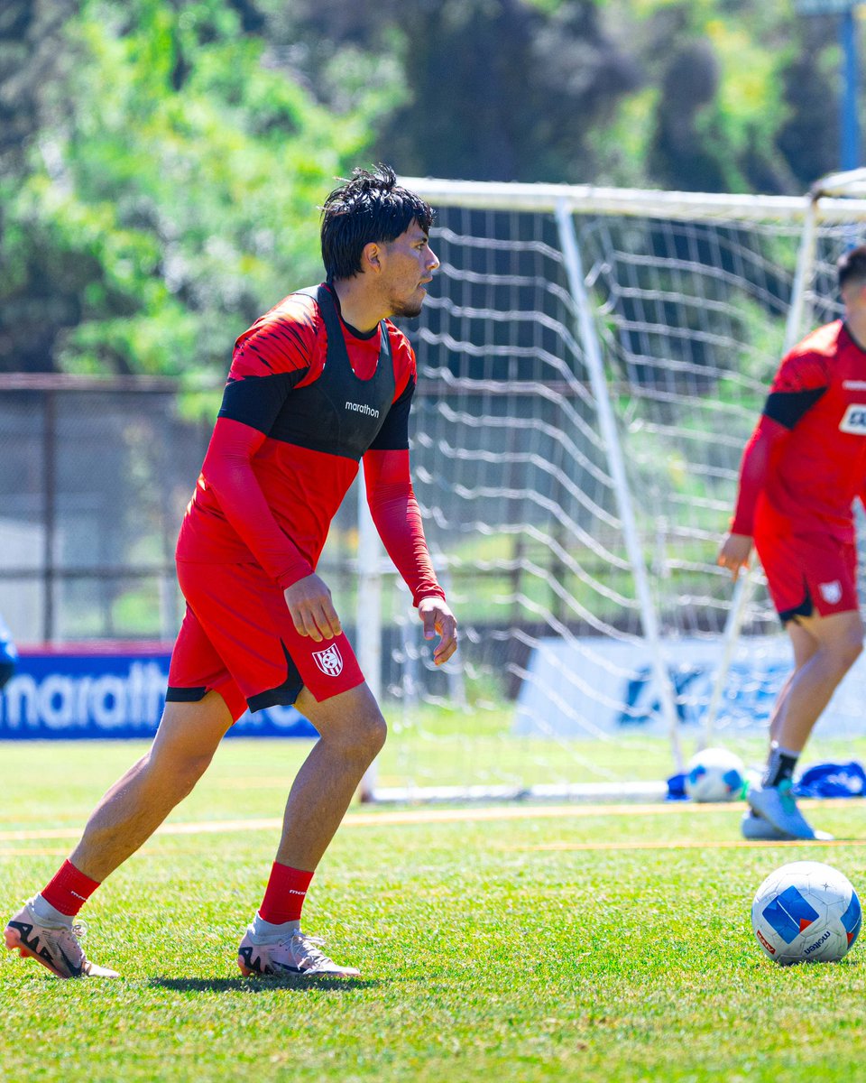 Huachipato FC tweet media