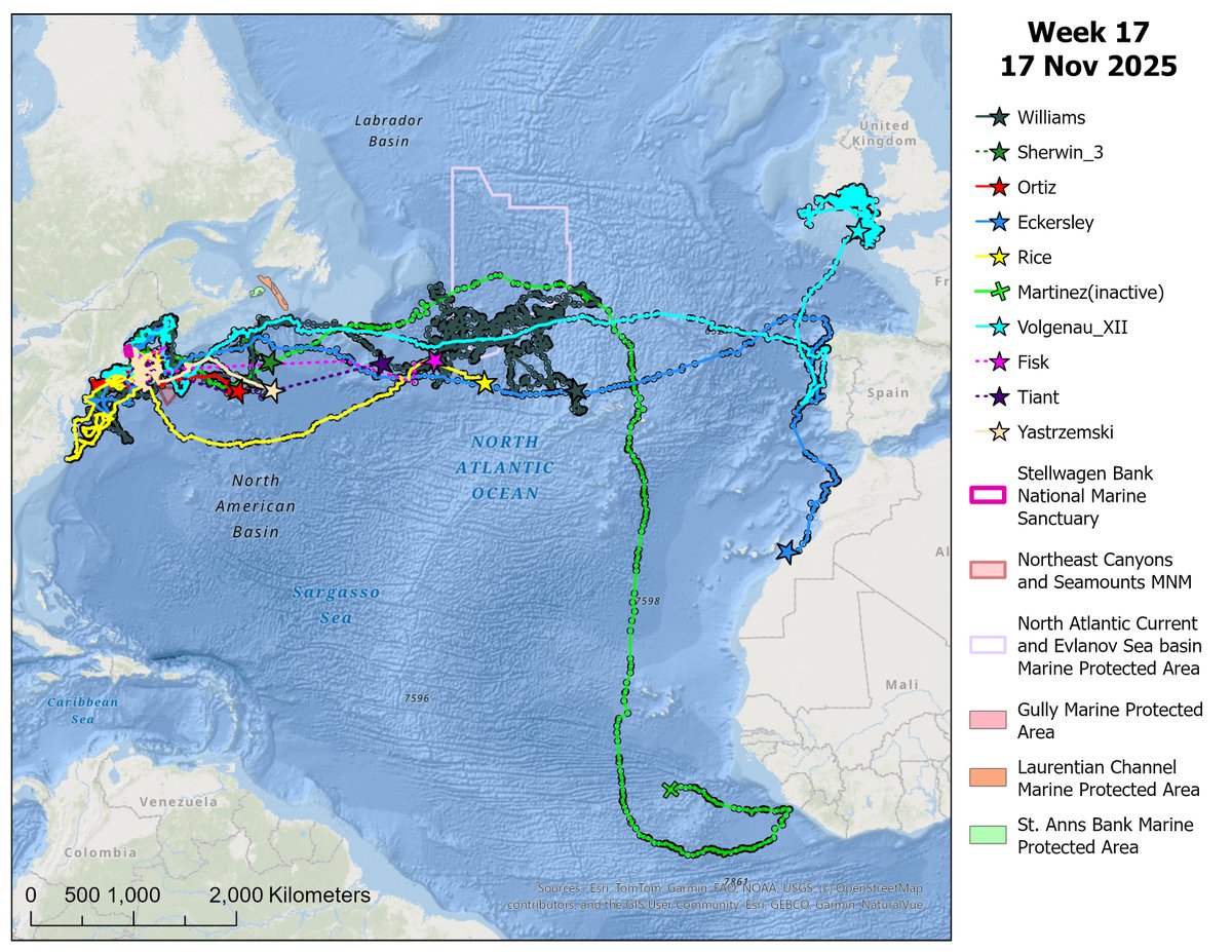 NOAA Stellwagen Bank NMS tweet media
