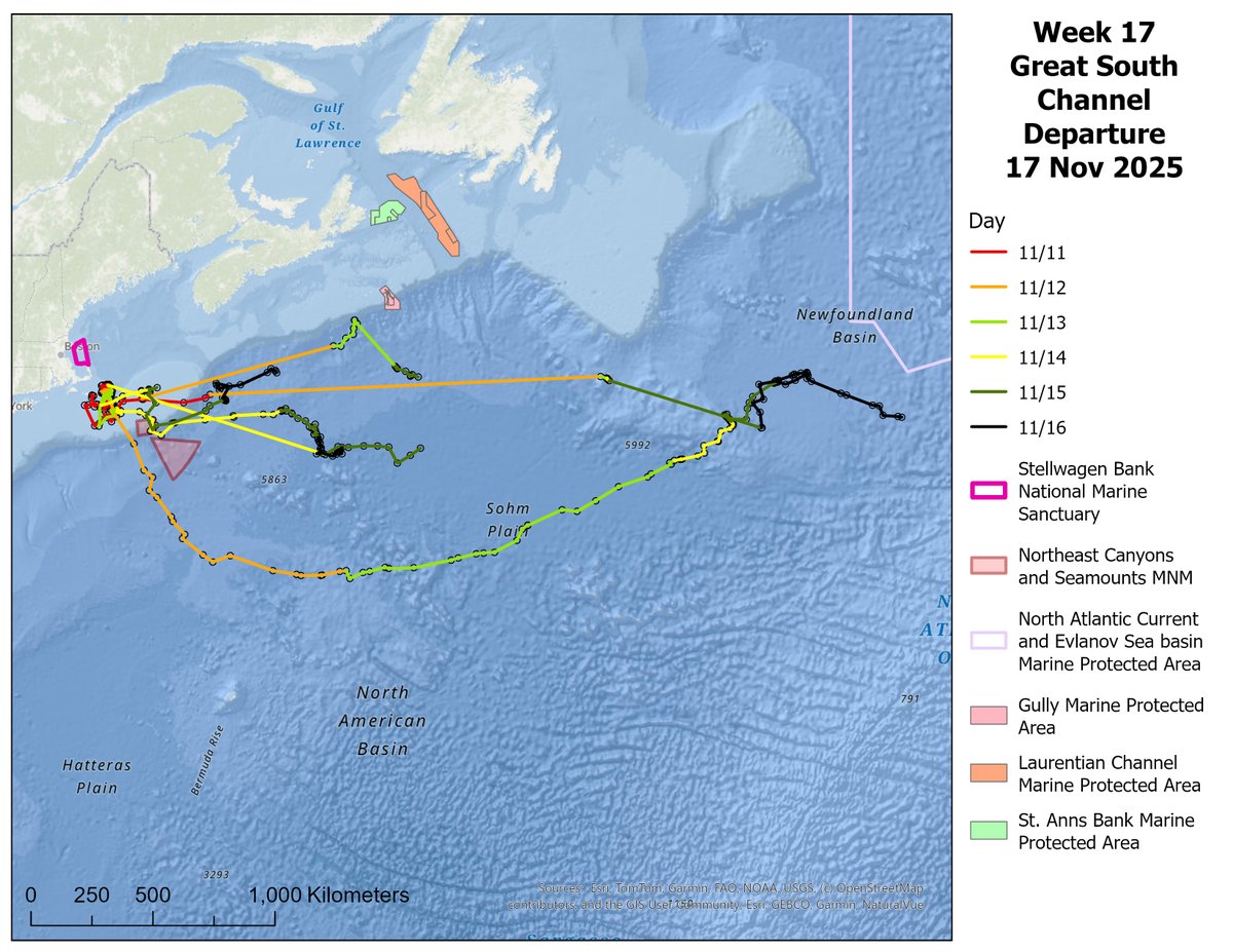 NOAA Stellwagen Bank NMS tweet media
