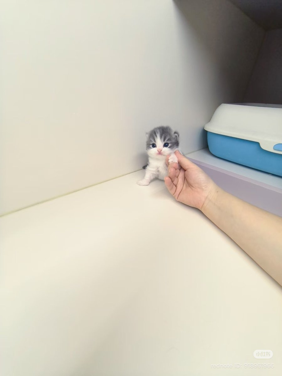 ayadotnet's tweet image. #survived uni today…….. #barely