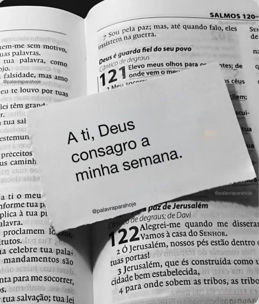 Boa tarde meu seguimores. 🫶🫰🏻🥰😘