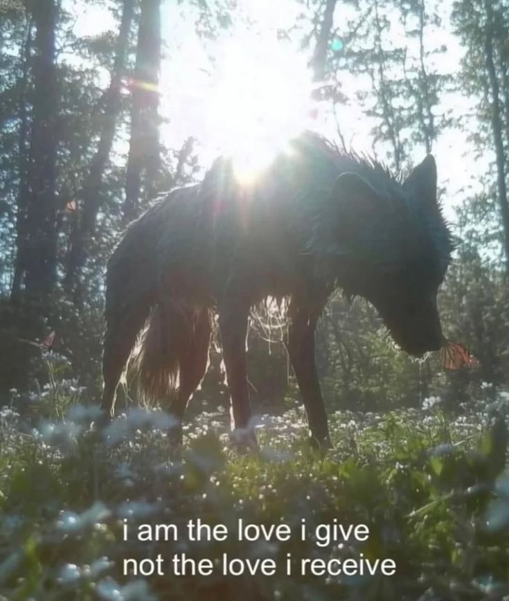 ★ (@thematrixwizard) on Twitter photo 